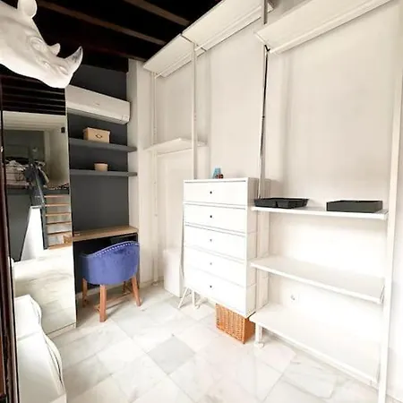 Atico Duplex Triana , Seville